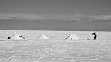 BOLIVIA 2 - Salar de Uyuni - 88